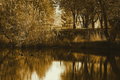 DSC_0070 f.jpg