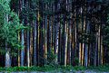 ASPEN 
