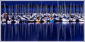 LAKE DILLON MARINA 840.jpg