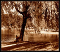  BY THE TREE AT THE DUCK POND.jpg