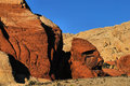   gorilla bust at the red rocks g.jpg
