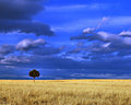 DSC_0044   THE ONE.jpg