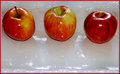 DSC_0016 APPLE LINE UP E.jpg