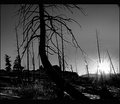 DSC_0071  SUN.jpg