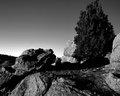 DSC_0083 BW.jpg