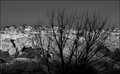 DSC_0149 AA INSPIRED BW.jpg