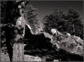 DSC_0026 fp.jpg