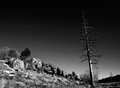 DSC_0027  aa.jpg