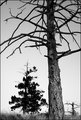 DSC_0119  3.jpg