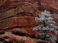 DSC_0031   flocked on the rocks