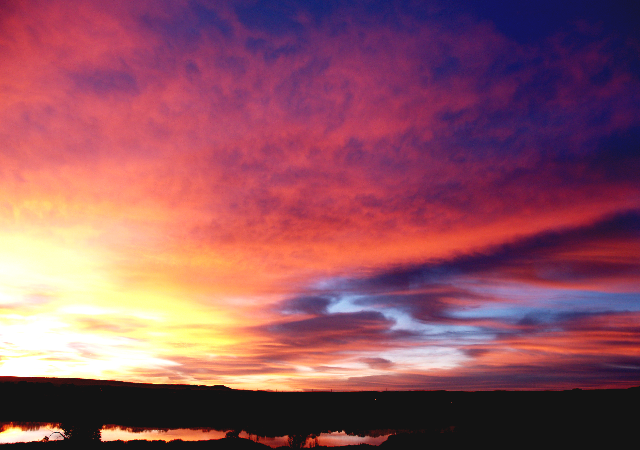 Morning Palette