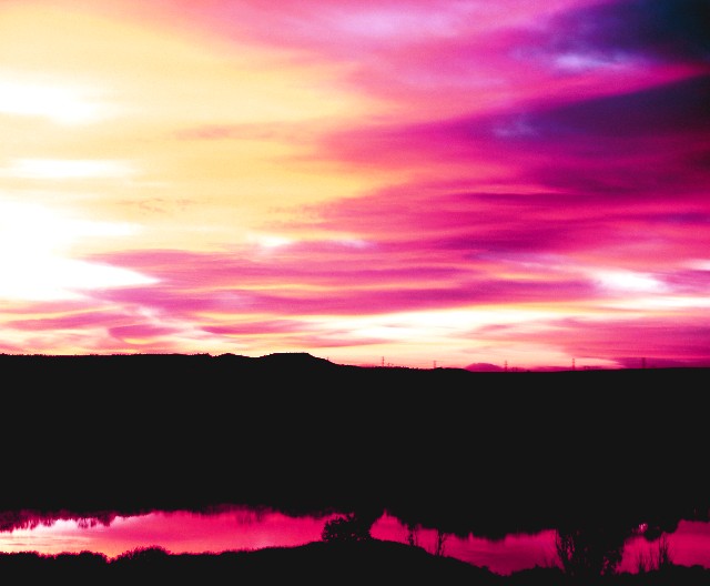 Morning Palette