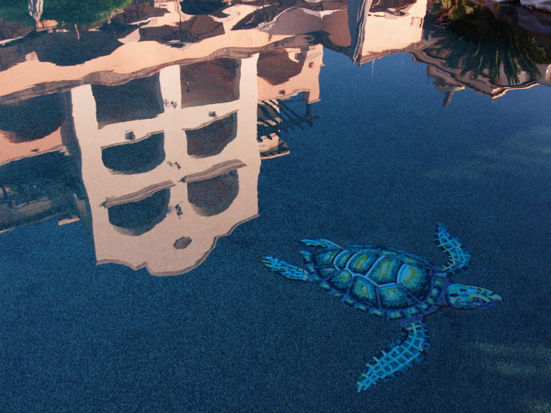 POOL REFLECTION