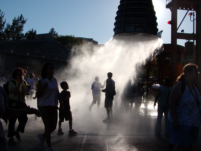 P6130082A.jpg