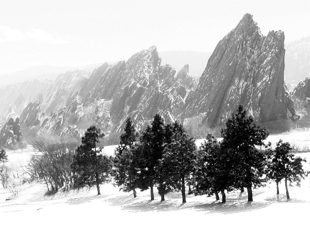 Snow Day at the Golf  Course