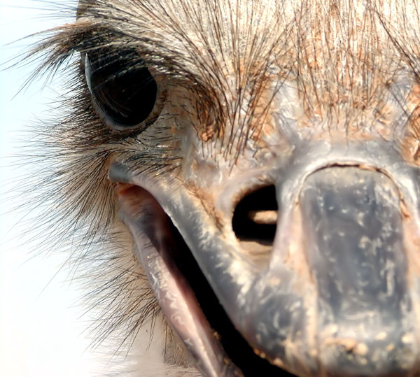 hereslookingatyou0250.jpg