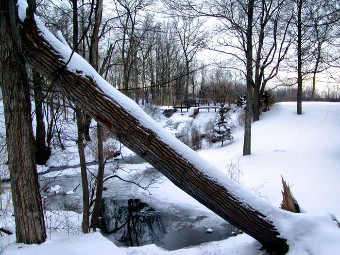 Mill Pond202.jpg