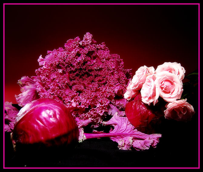 flowerkaleDSC_0097.jpg