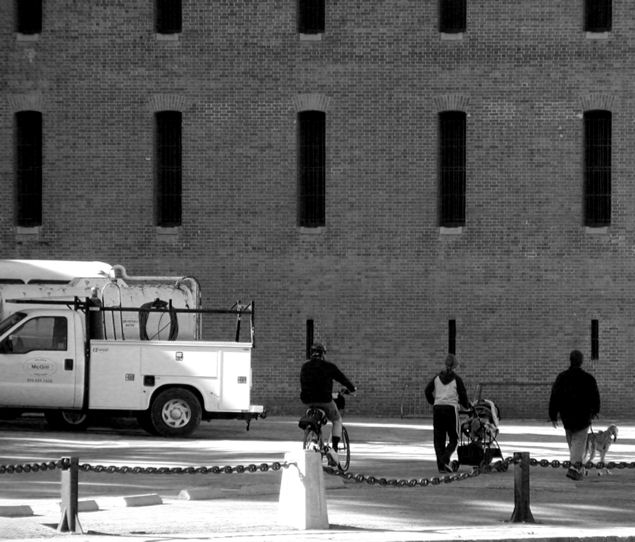 truckbikebuggieleashP1050225.jpg
