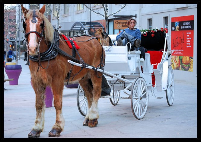 DSC_0140carriage