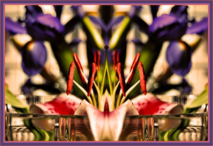 DSC_0028floral1a.jpg