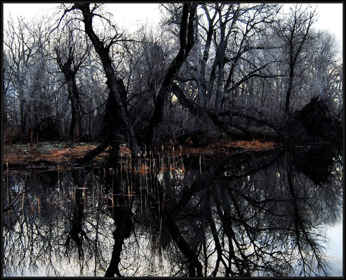 DSC_0024swamppondreflect.jpg
