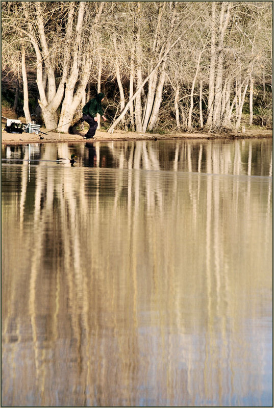 DSC_0041DUCKDUCK.jpg