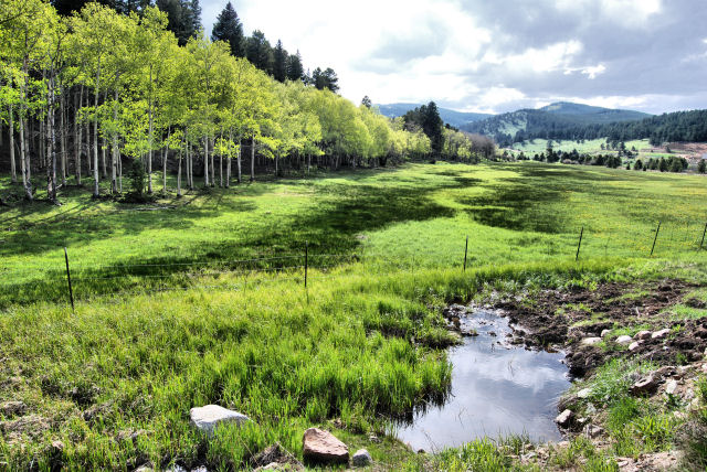 DSC_0128GREENPASTURE.jpg