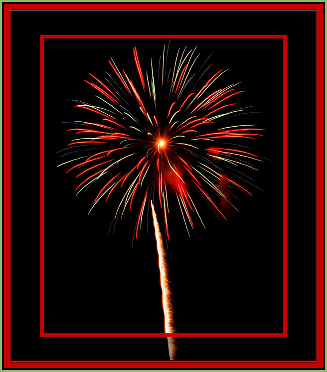 DSC_0044flower fireworks.jpg