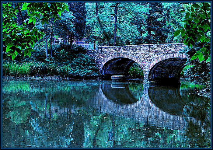 DSC_0076du bridge 2b.jpg