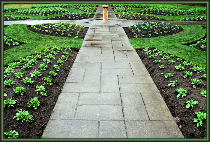  FLORA  DESIGN 1A.jpg