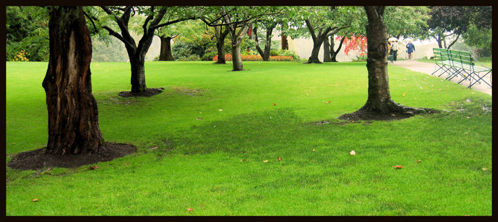 DSC_0192  PARK SCENE 1A.jpg