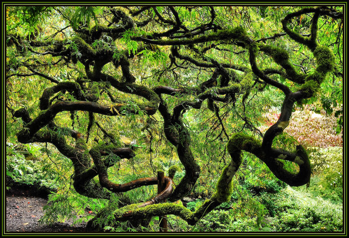 DSC_0279 TWISTED .jpg