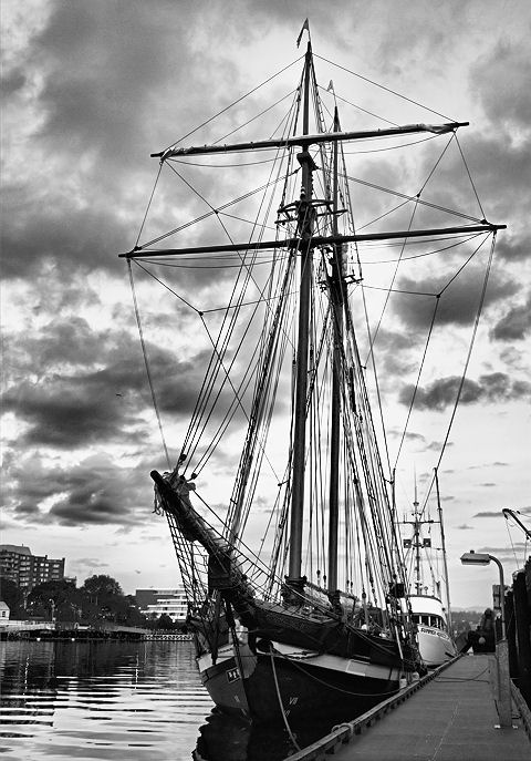 DSC_0034ASSS.jpg