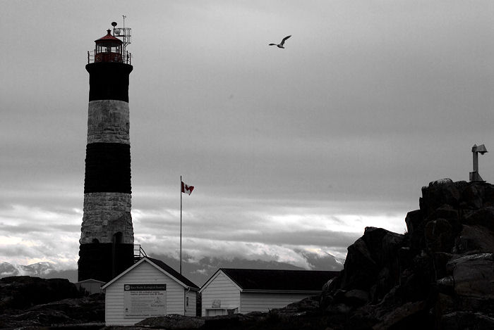 DSC_0137    LIGHT HOUSE.jpg