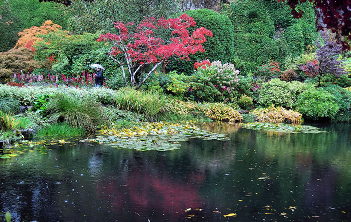 DSC_0196 REFLECTION PALLETTE 1A.jpg