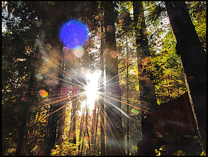 DSC_0013   BLUE ORB 1A.jpg
