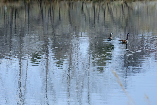 DEEP WATER REFLECTIONS? 
