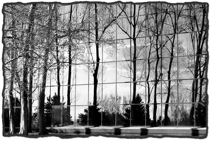 DSC_0092 gdf d.jpg