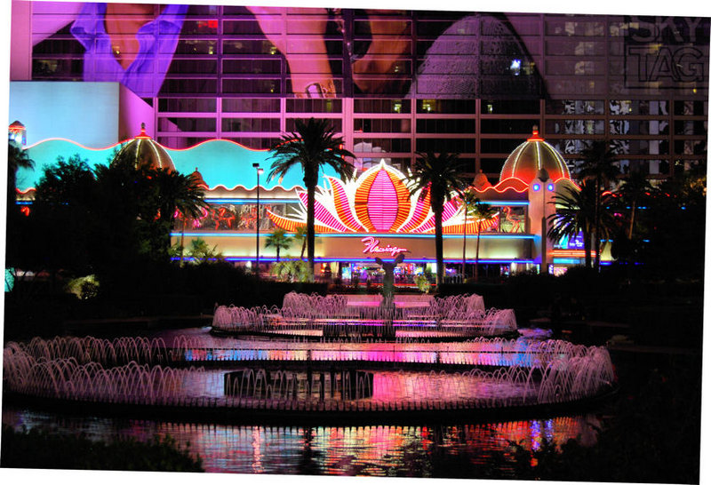 FLAMINGO CEASARS.jpg