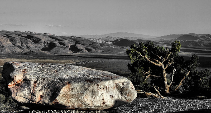 DSC_0415 ROCK AND BRISTLECONE WATCH OVER THE VALLEY.jpg