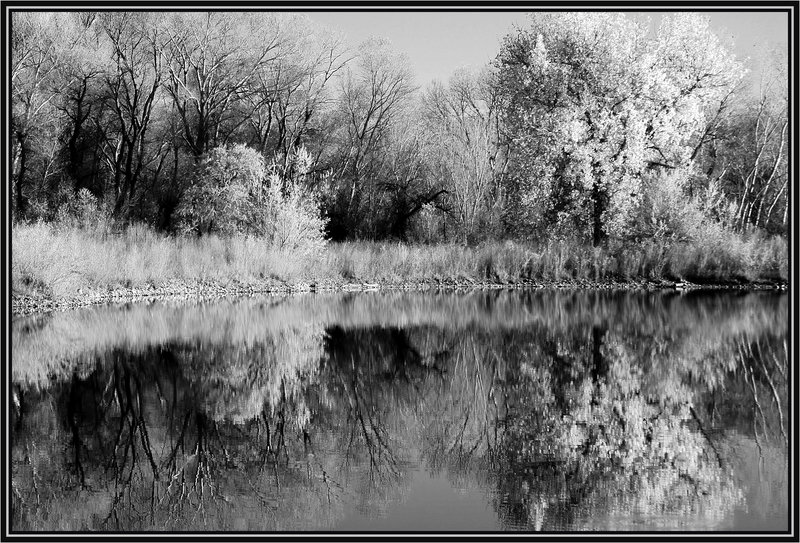 DSC_0190   busy reflecting  7.jpg
