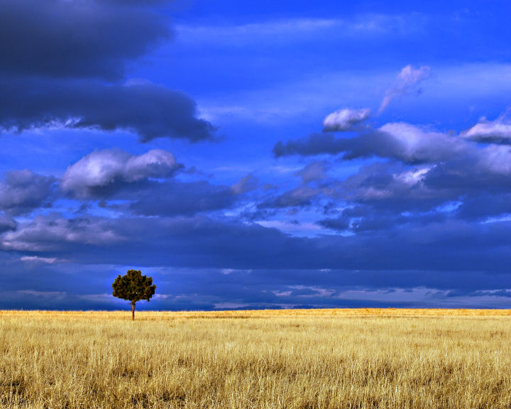 DSC_0044   THE ONE.jpg