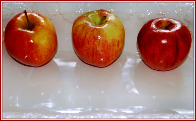 DSC_0016 APPLE LINE UP E.jpg