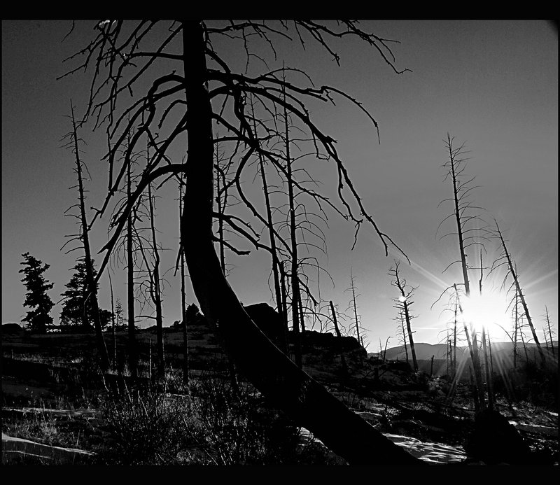 DSC_0071  SUN.jpg