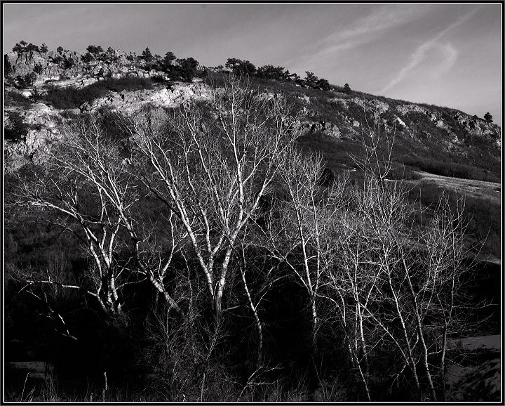 DSC_0018 AA Rox Pk Trees 7.jpg
