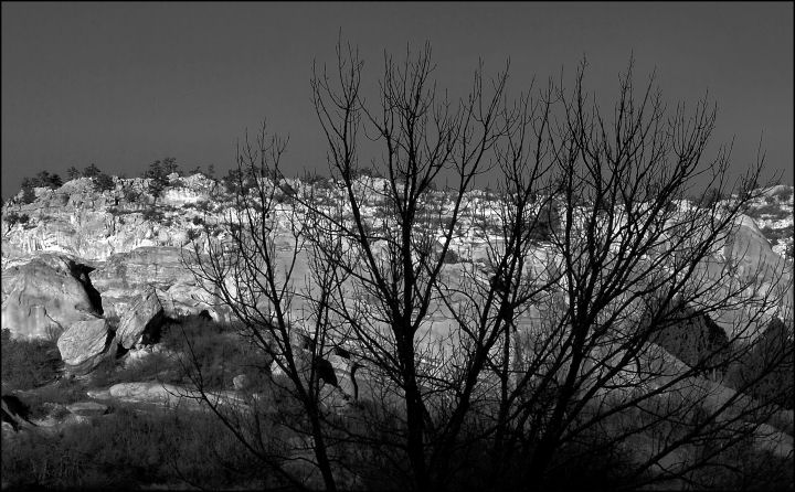DSC_0149 AA INSPIRED BW.jpg