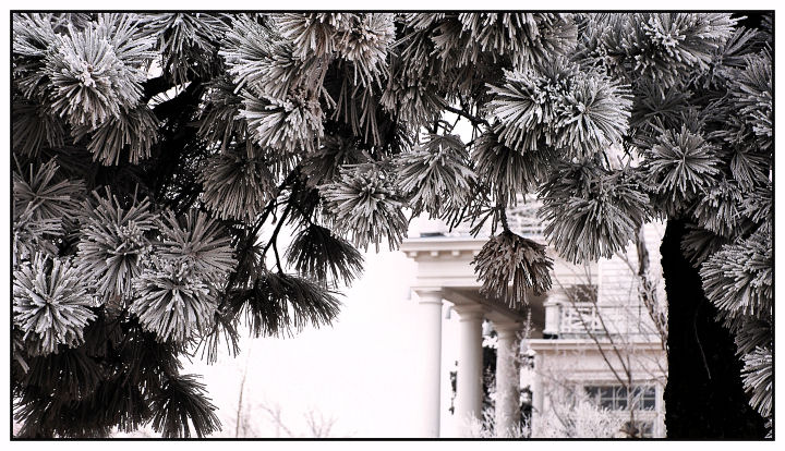 DSC_0067 white house.jpg