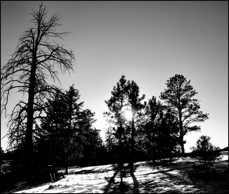DSC_0020  BW.jpg