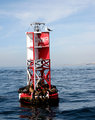 Newport Bell Buoy